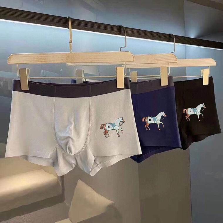 Hermes boxer L-3XL 47